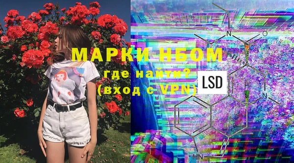 прущие грибы Балахна
