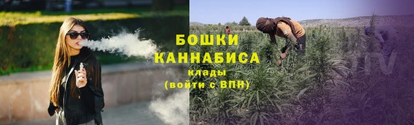 прущие грибы Балахна