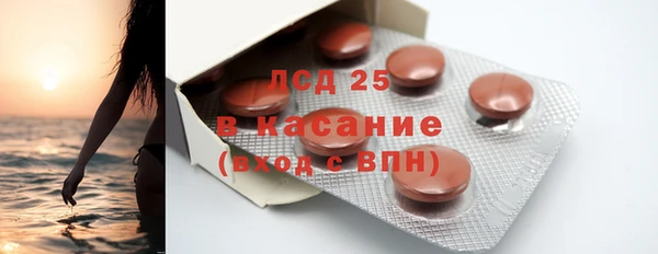 прущие грибы Балахна