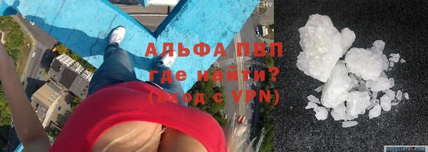 прущие грибы Балахна