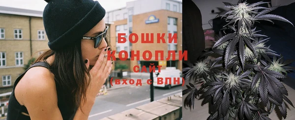 прущие грибы Балахна