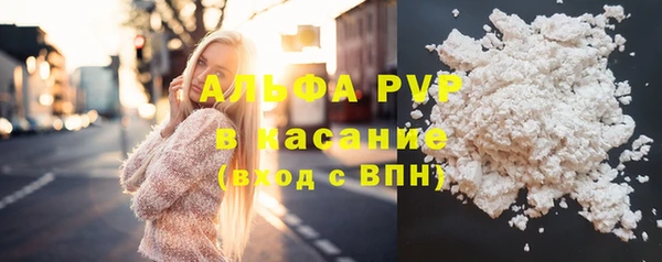 спиды Семёнов